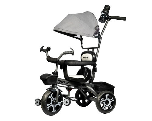 dash tricycle price list